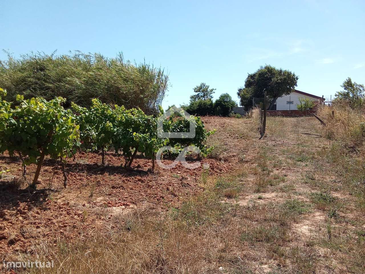Terreno Urbanizável com 1.560 m², em Barrocalvo, Bombarral-9