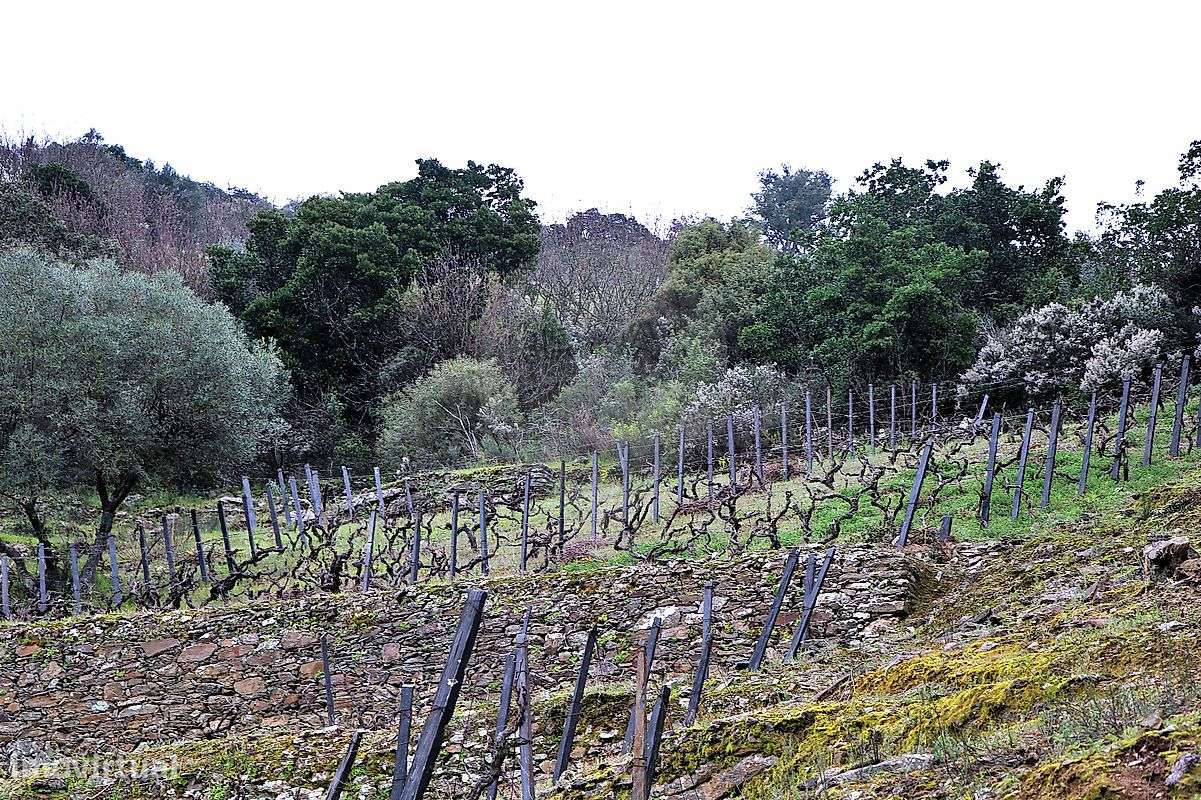 Terreno  para venda - Grande imagem: 5/11