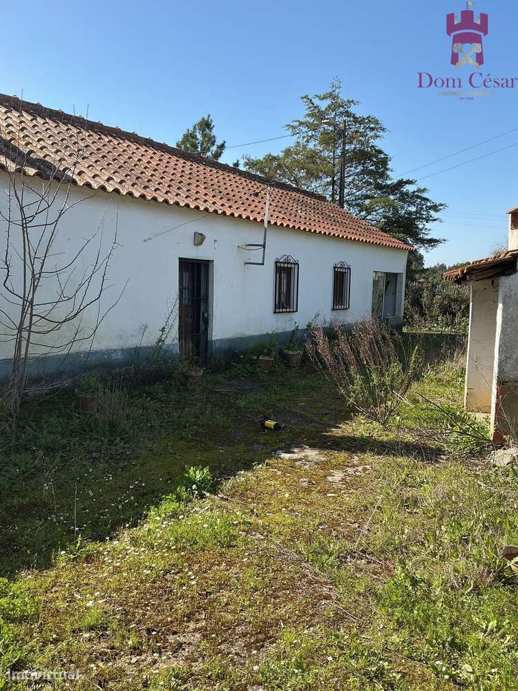 Propriedade Rústica de 1hct com Moradia -  Ribatejo - Raposa, Almeirim - Grande imagem: 4/19