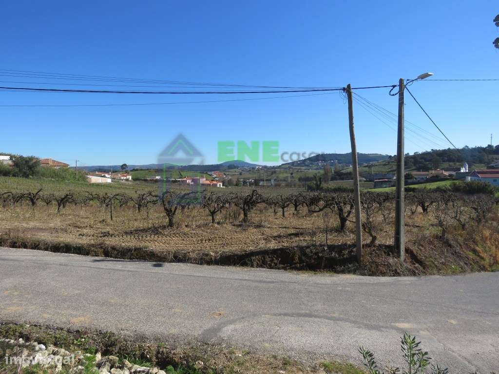 Terreno em Freiria Torres Vedras - Grande imagem: 4/9