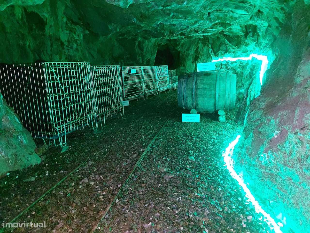 Quinta 5.3 ha, Covilhã-44