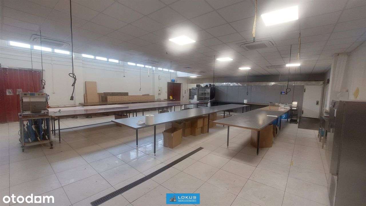 Hala magazyn na produkcję żywności catering - Pełny obrazek: 5/19