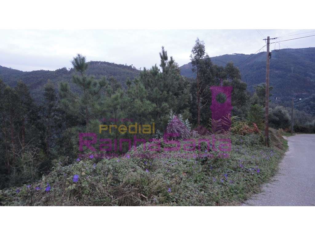 Terreno urbano - Casal da Misarela - Grande imagem: 2/11