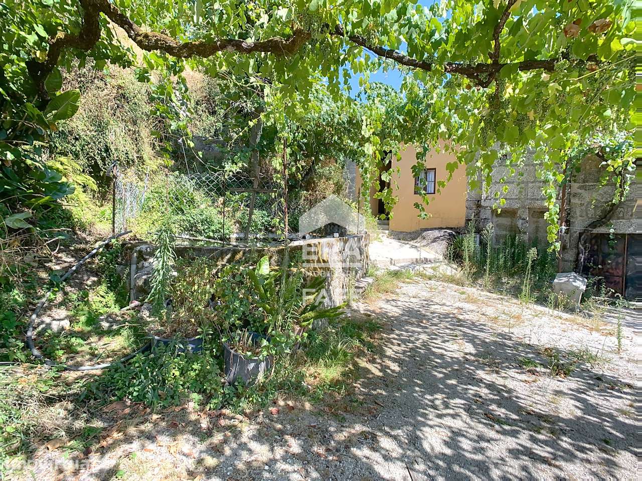 Moradia V4 em Ribas, Celorico de Basto-16