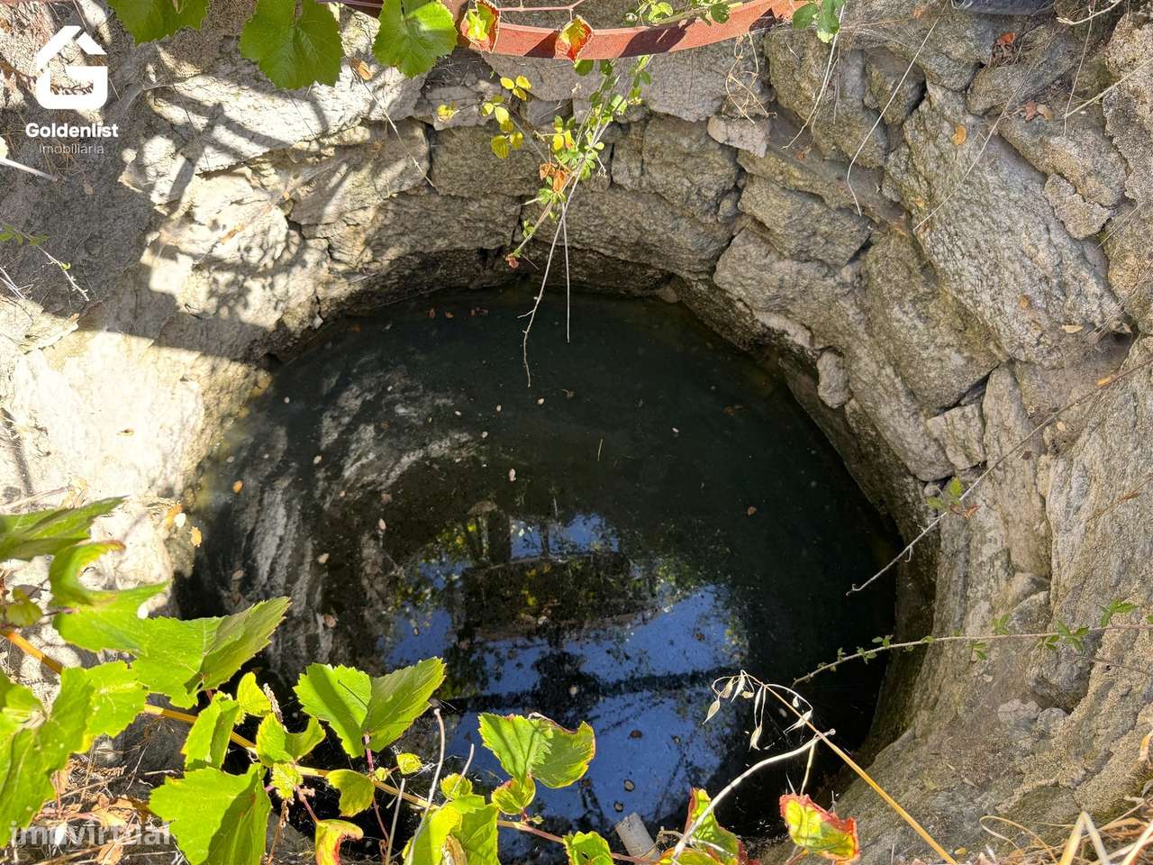 Quinta  Venda em Lardosa,Castelo Branco-29