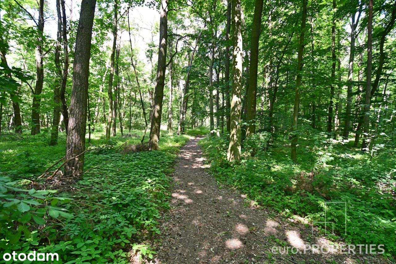 Działka z M.P.Z.P. nad jeziorem :: 197/3.8 - 1197m-13