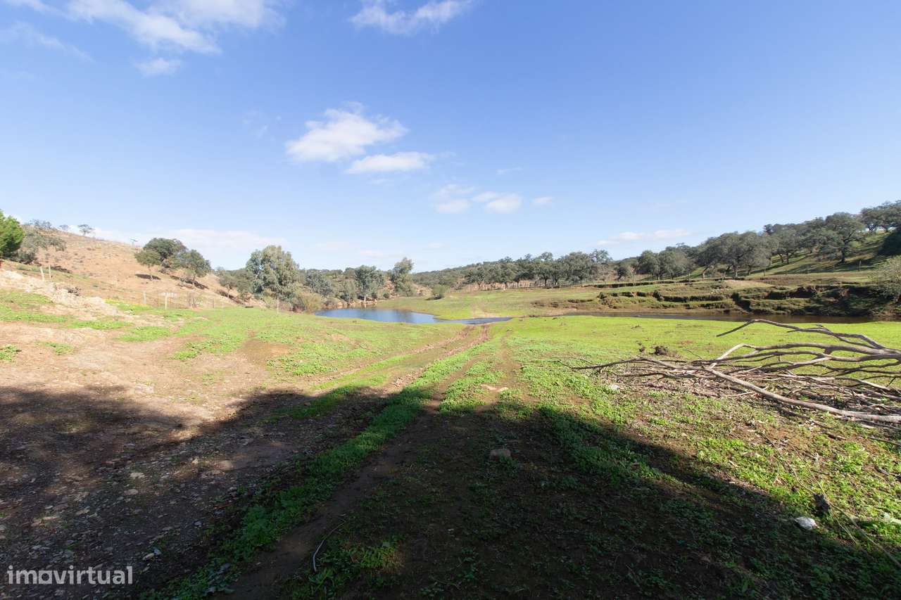 Terreno em Vila Verde de Ficalho | Oportunidade Única com 35,48 Hectar - Grande imagem: 5/11