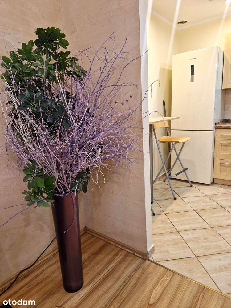 Smardzewska, Nowszy Blok, Układ Niezależny-7