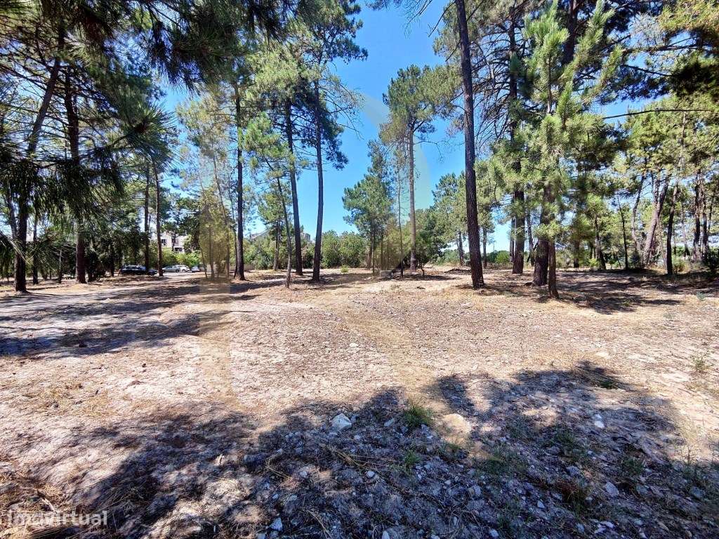 Venda conjunta de 105 lotes de terreno na Urbanização Pinhal de Neg...-19