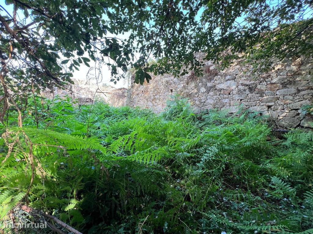 Moradia para reconstruir em zona de Oliveira do Douro, Porto - Grande imagem: 4/4