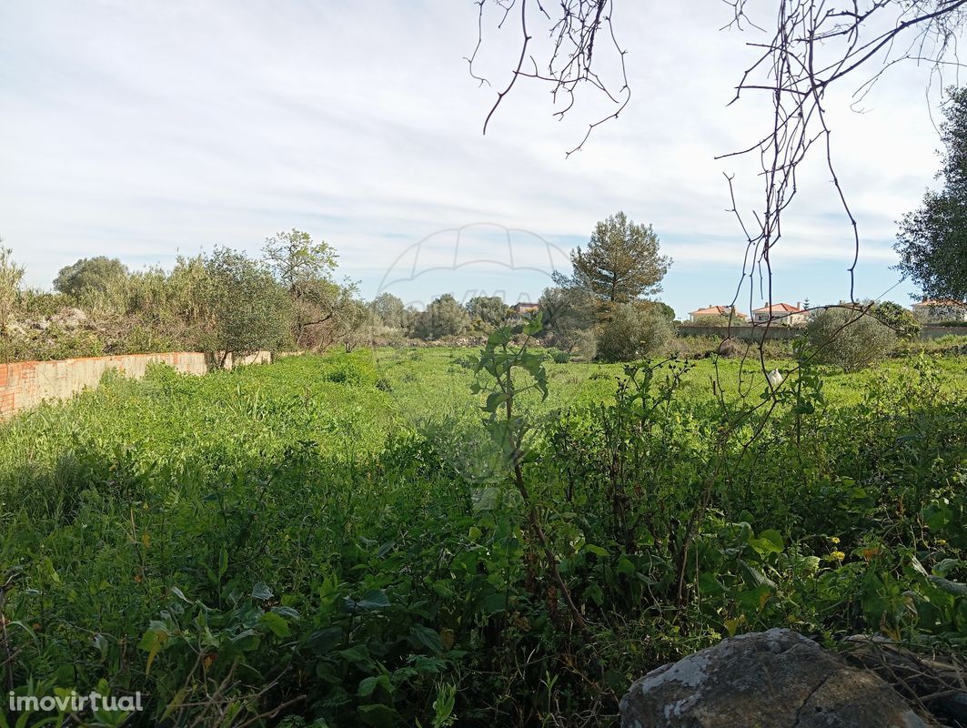 Terreno  para venda