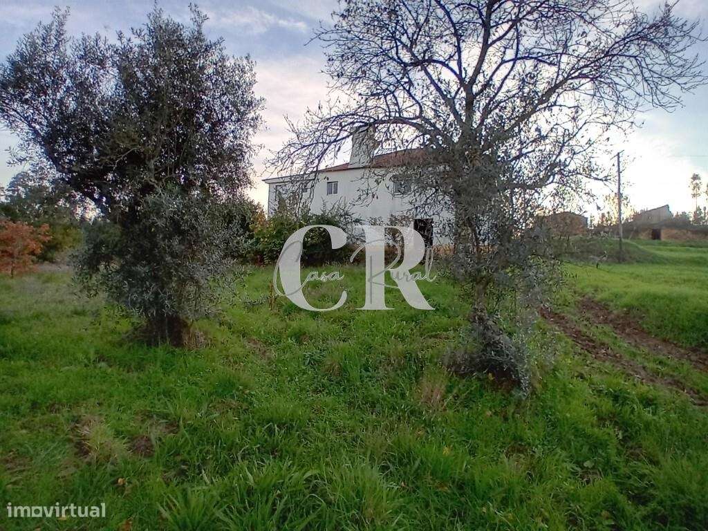 Moradia T3 com terreno pronta a habitar, logradouro e poço de água em-24