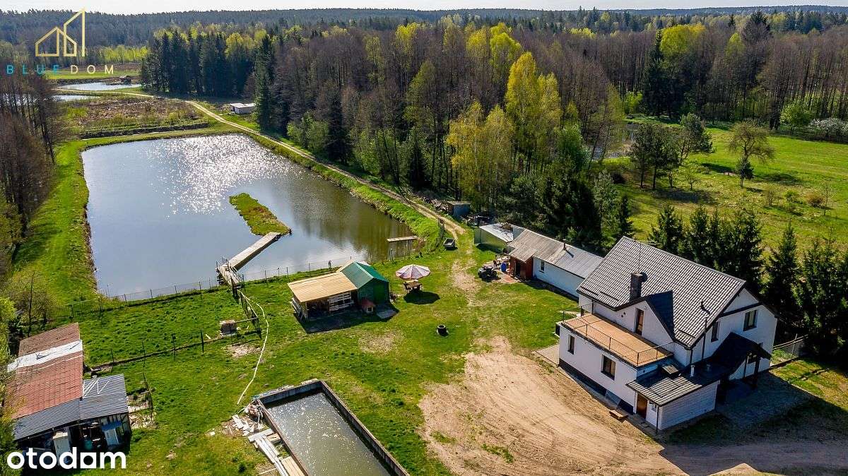 Wyjątkowe miejsce, działka z dużym stawem - Pełny obrazek: 5/18
