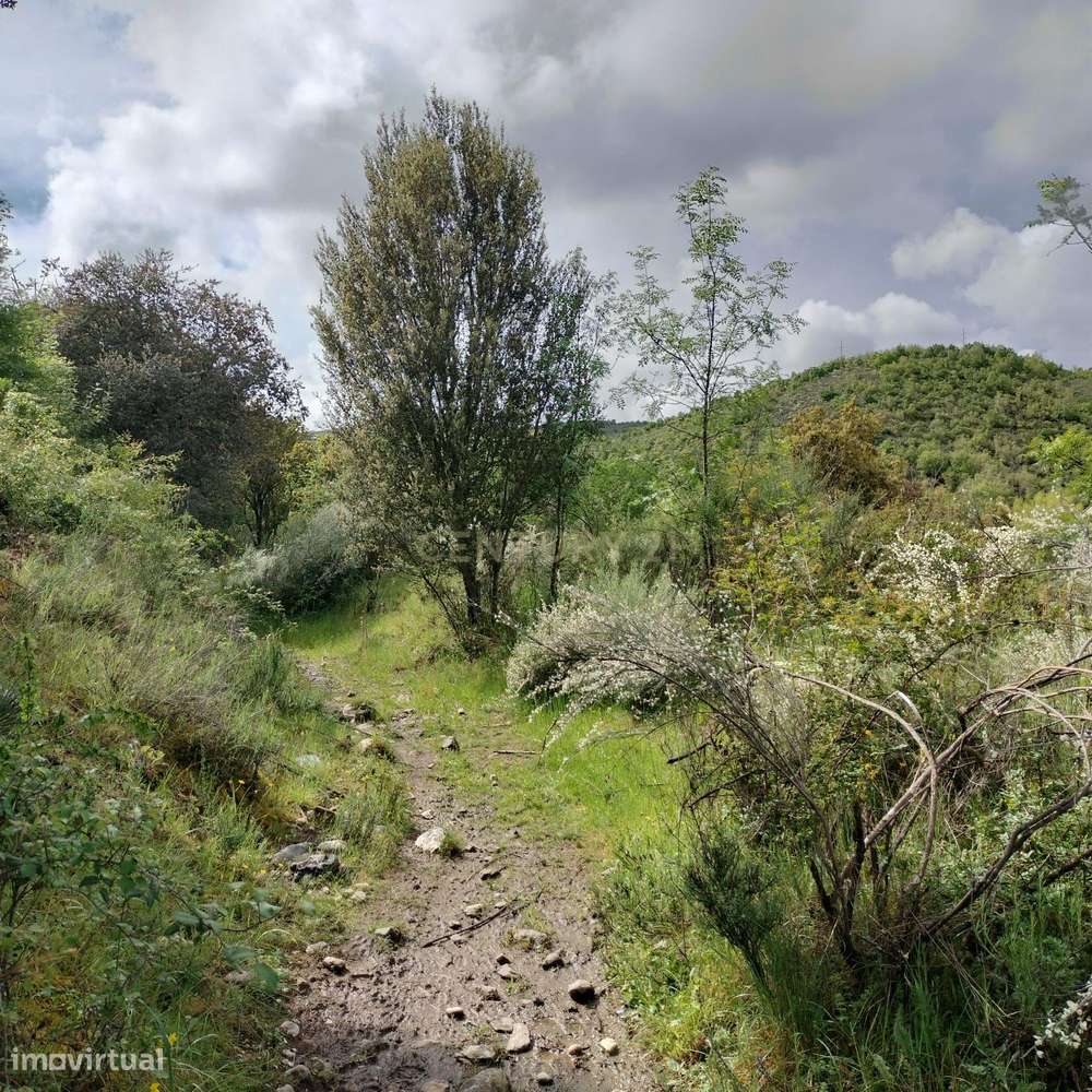 Terreno de 4.500 m² em Meixedo, Bragança — uma oportunidade para um pr-3