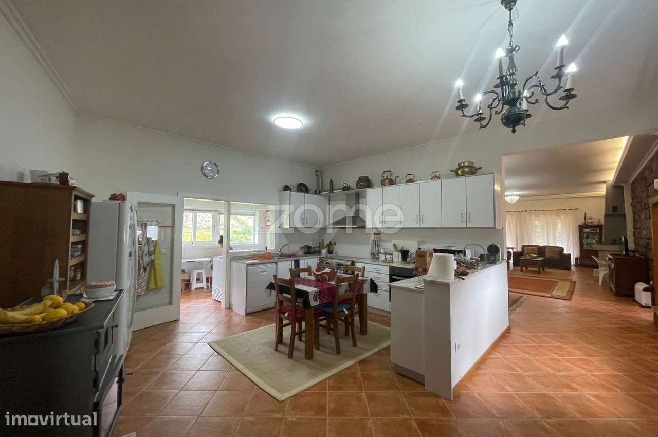 Quinta com Moradia V3 de 2 Pisos, Garagem e Olival – São Pedro, Vei...-24