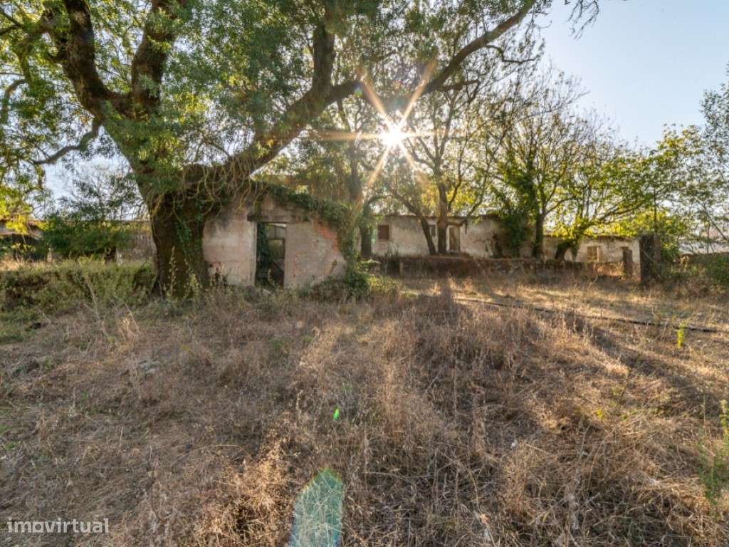 Quinta - Freiria - Sobral Monte Agraço-10