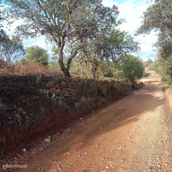 Terreno Rustico (Rustic Plot of Land) Paderne, Albufeira - Grande imagem: 3/9