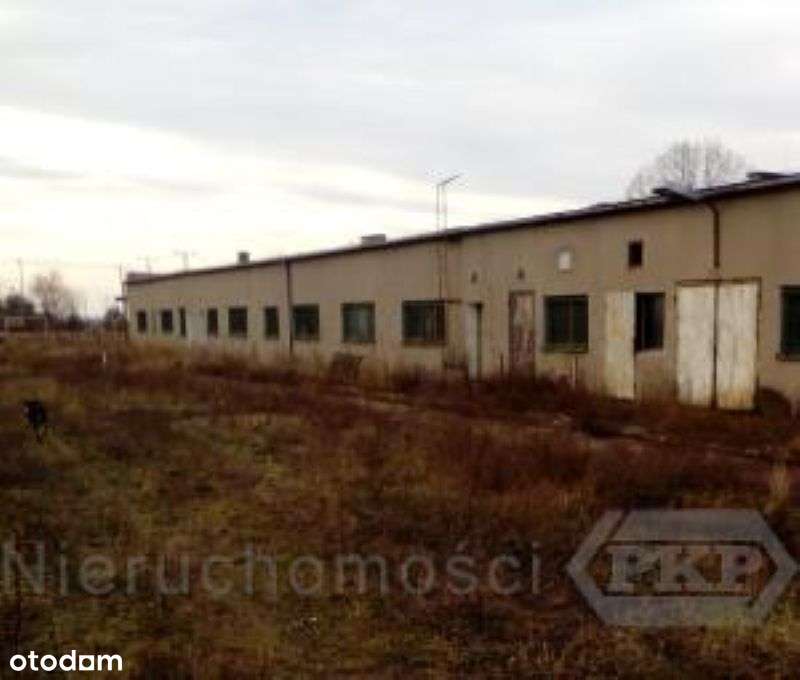 Budynek warsztatowy Gębarzewo na wynajem - Pełny obrazek: 5/6