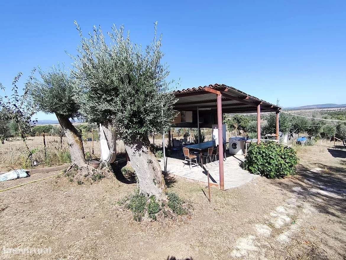 Quinta dos Britos: Refúgio em Nisa com 1750 m² - Grande imagem: 4/16