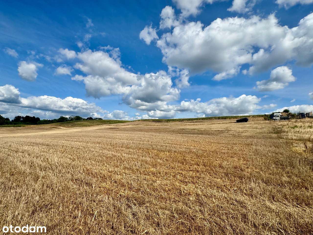 Działka z malowniczym widokiem na Jezioro Wolickie-3