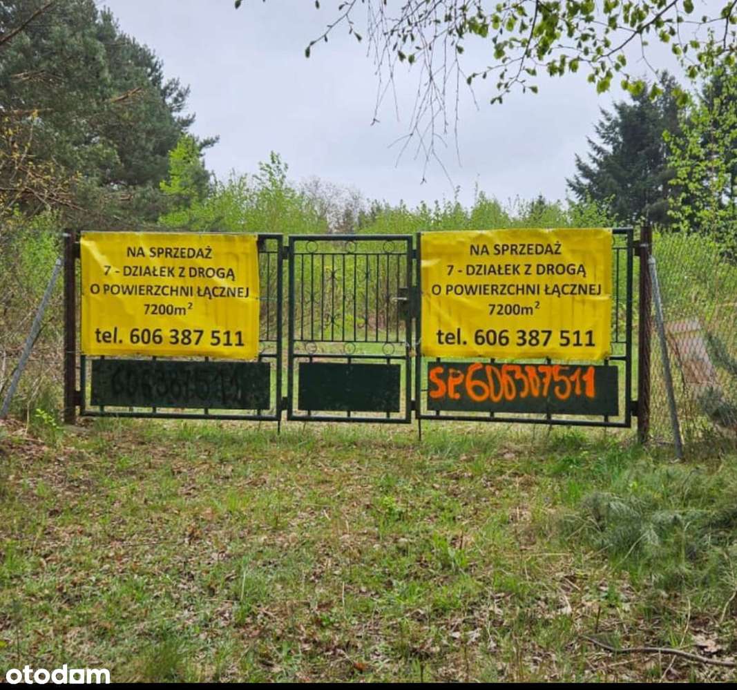 Działka 7200 m² przy lesie i jeziorze w mieście - Pełny obrazek: 4/9