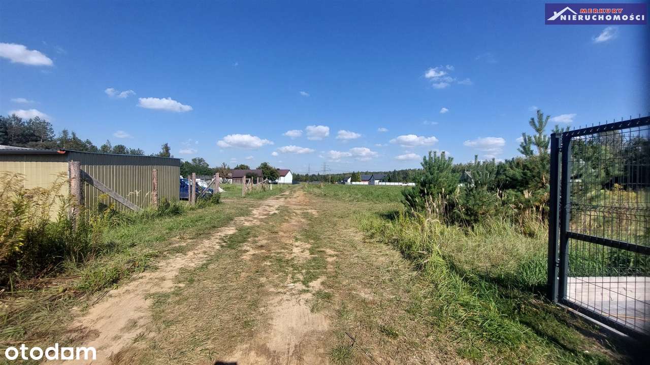 Na nowym osiedlu w pobliżu lasu-2