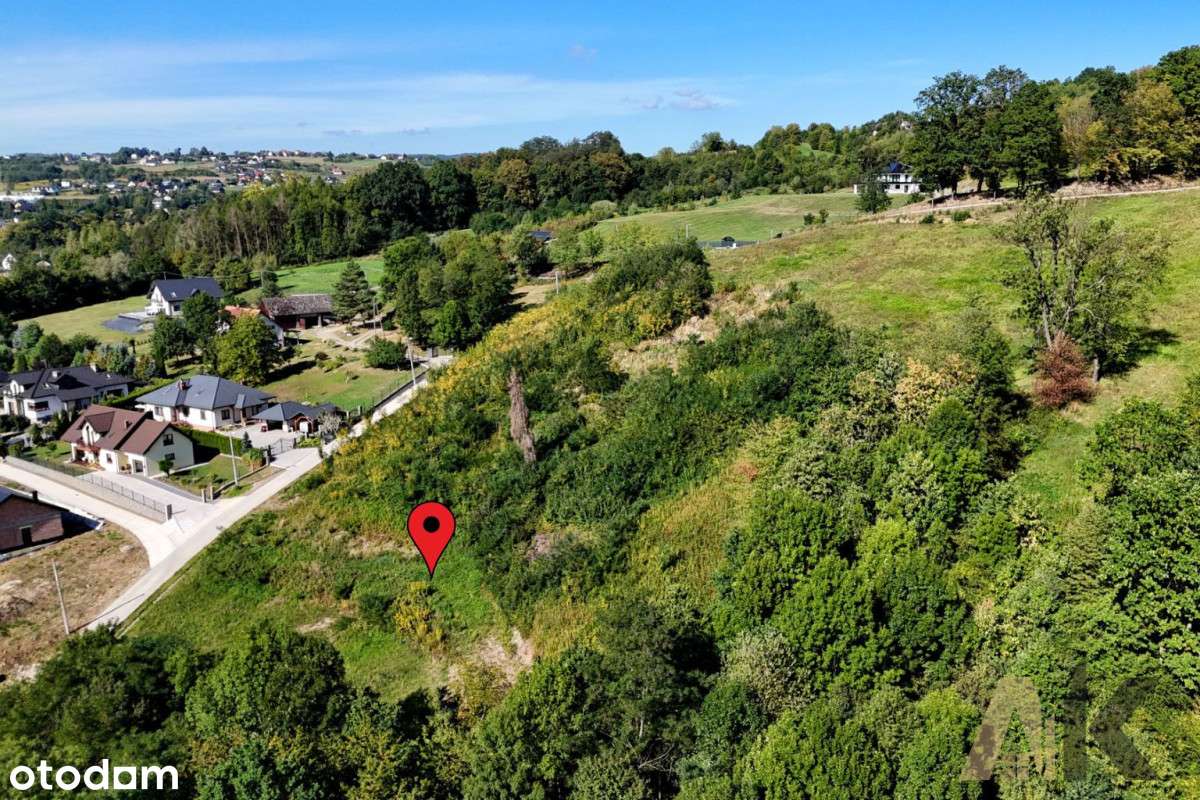 Działka rolna 88,47 arów- Chełmiec - Pełny obrazek: 5/20