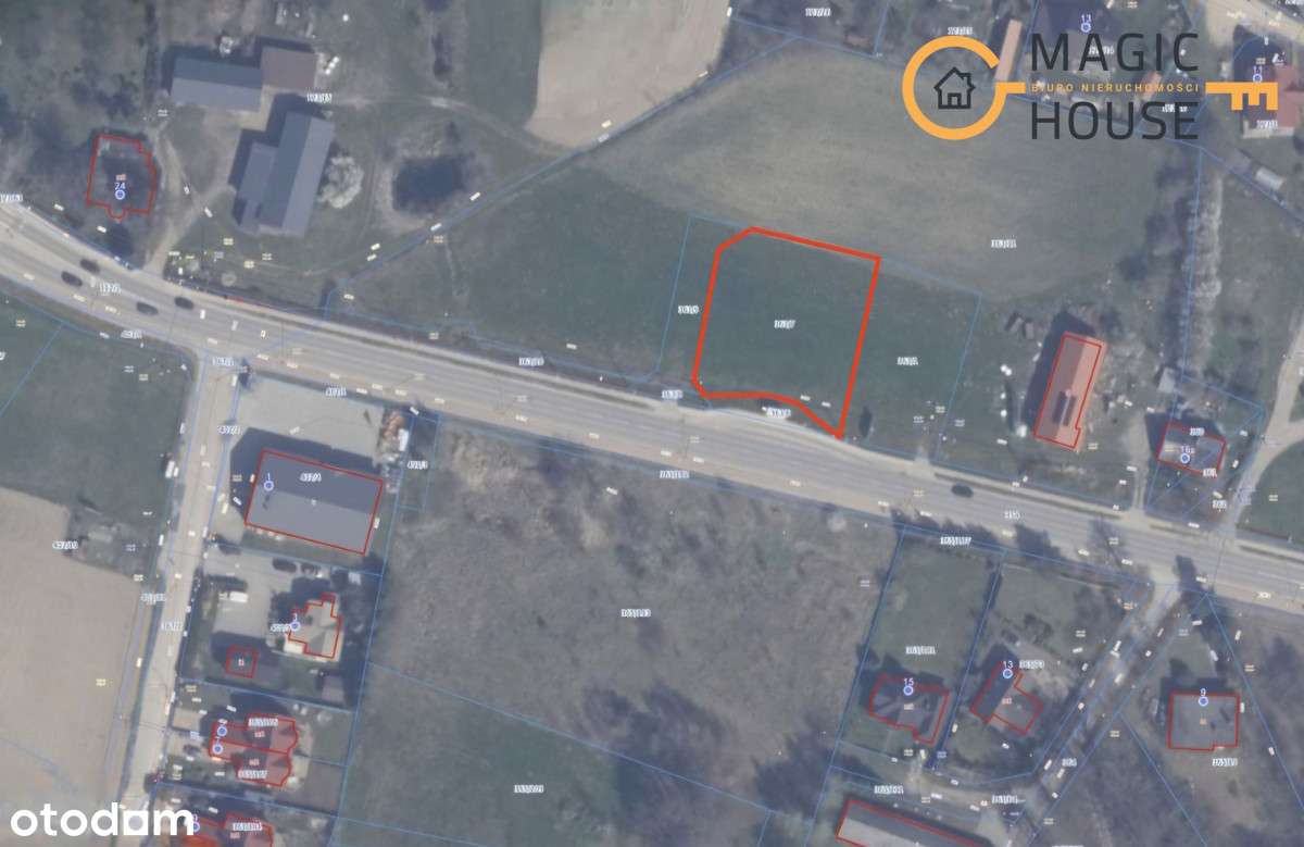 mg937776 - Pełny obrazek: 5/5