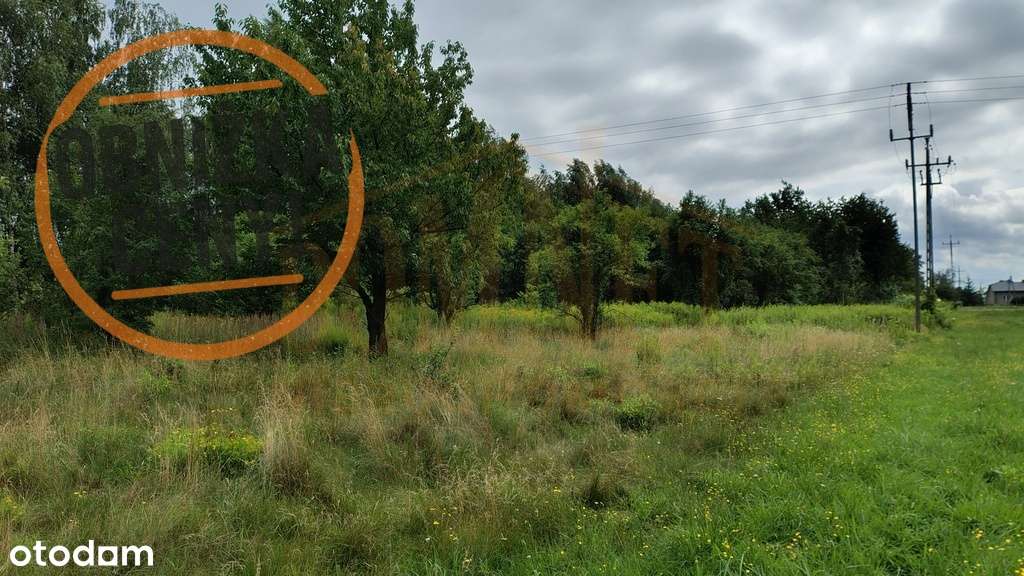 Okazja gm. Leszno  3 działki budowlane-0