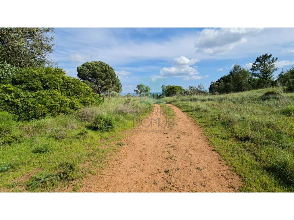 Quinta com 435.487 m2 na Serra da Arrábida, em Palmela, Setúbal-20