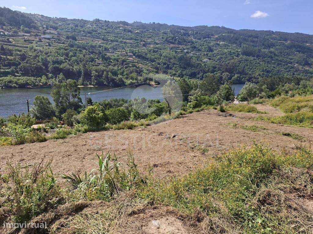 Quintinha com vista para o Douro em Magrelos, Marco de Canaveses - Grande imagem: 5/14