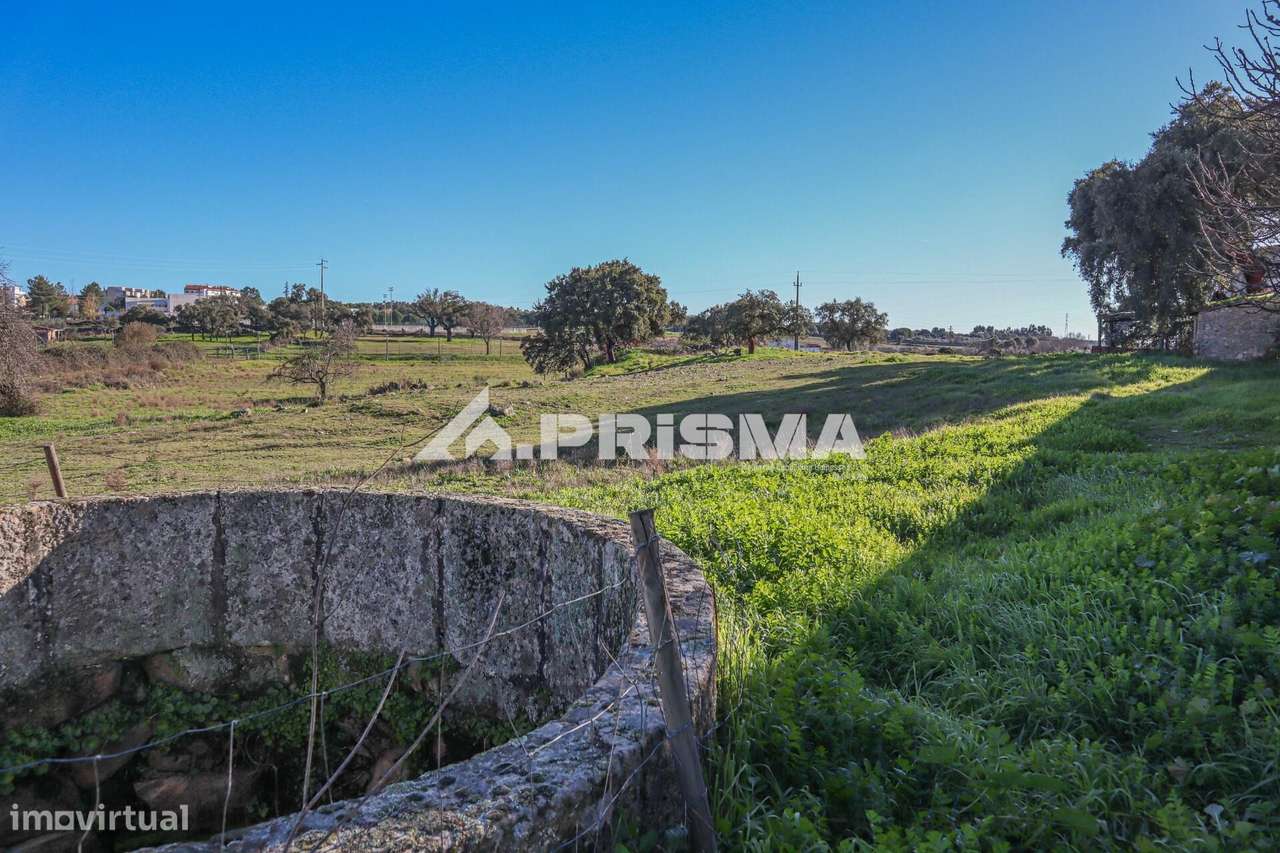 Terreno de 30.000m2 para venda em Alcains - Grande imagem: 2/21