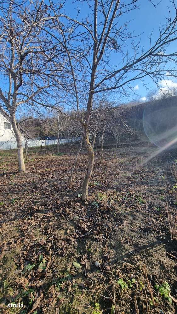 Casa modesta cu teren generos, zona Magura,-14