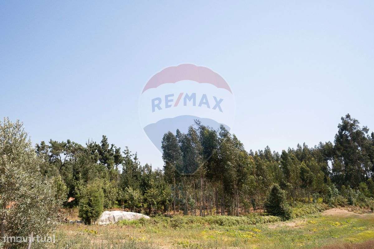 Terreno  para venda - Grande imagem: 5/16