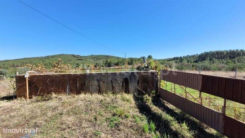 Quinta / Fundão, Enxames - Grande imagem: 5/20