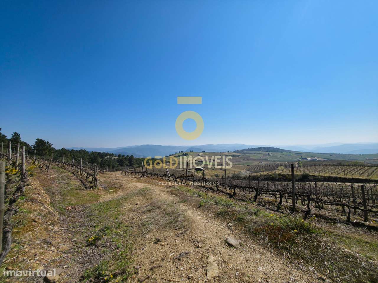 Quinta  Venda em São Mamede de Ribatua,Alijó - Grande imagem: 3/6