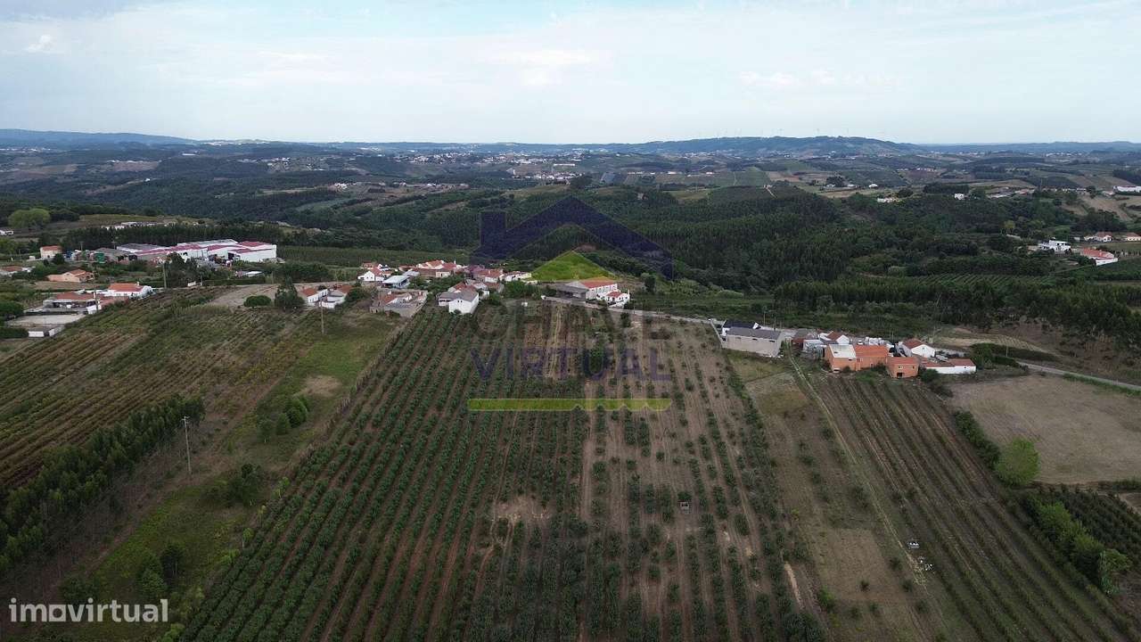 Terreno Rústico Construtível c/ 7.859 m2 Carvalhal - Bombarral-9