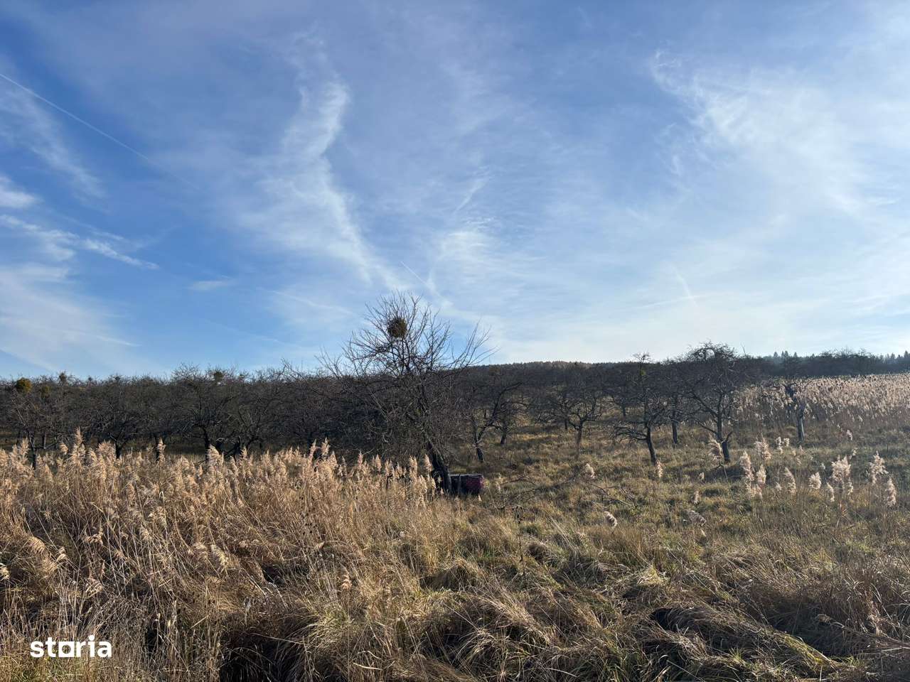 Teren intravilan zona Aroma/ investitie-0