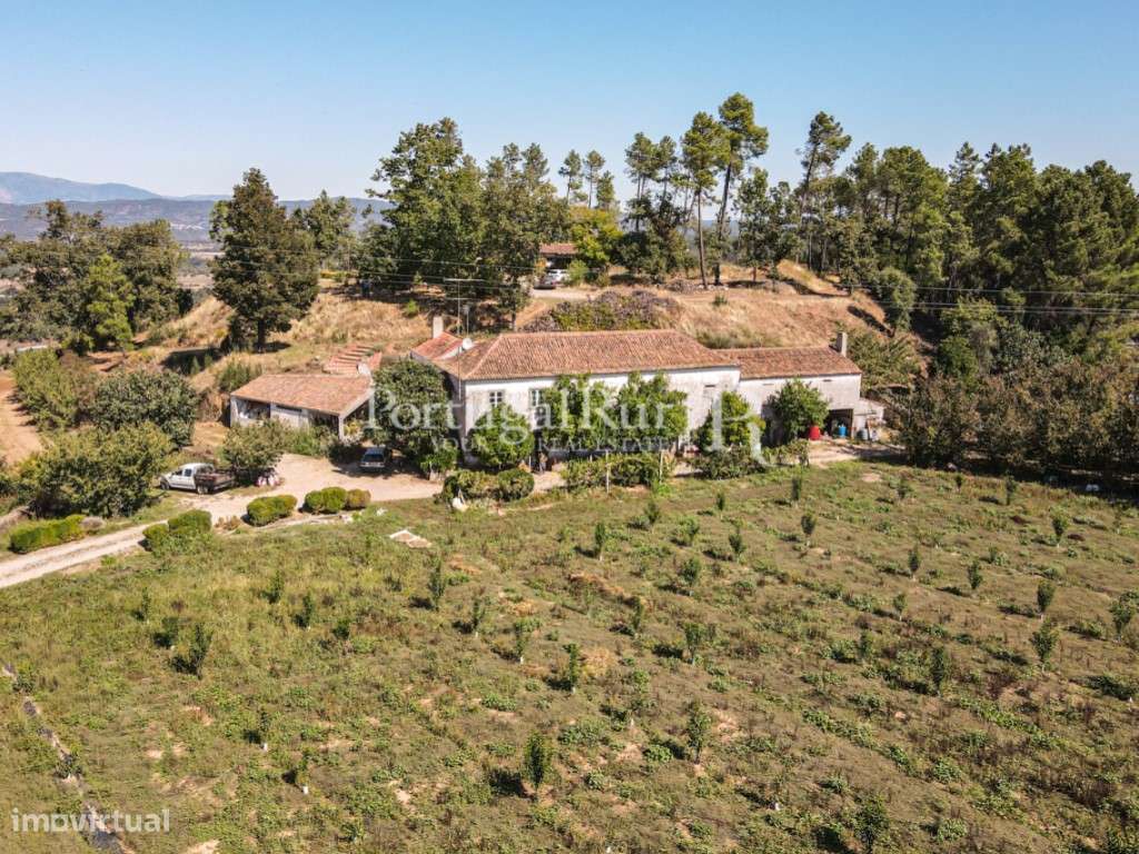 Quinta de 4 ha com 3 casas e cerejeiras no Fundão, ideal para turismo-58