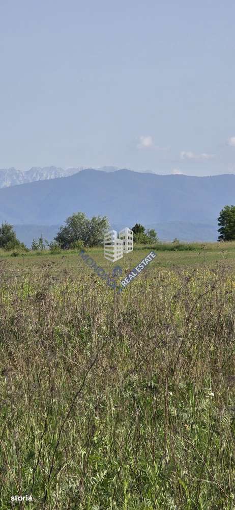 Loturi pentru construcție case - comision 0%-2