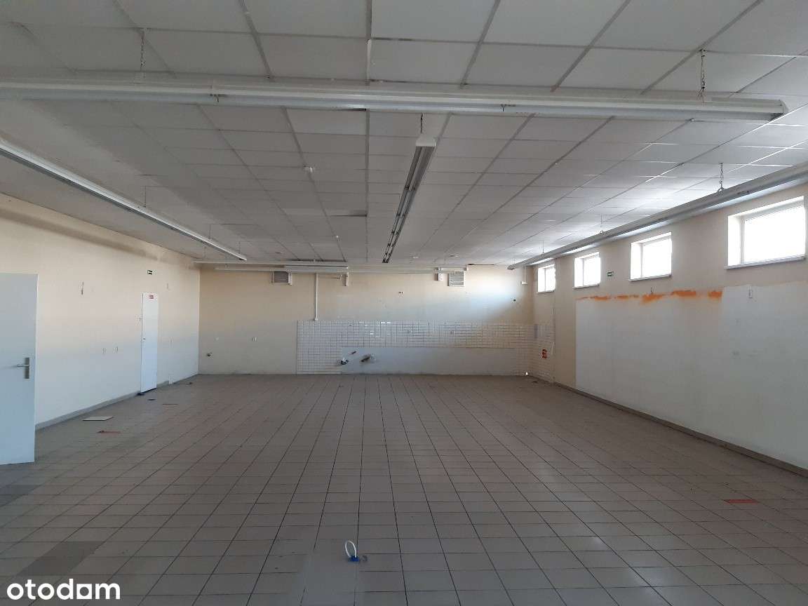 Wynajmę pawilon handlowy - 231 m2 - Pełny obrazek: 5/11