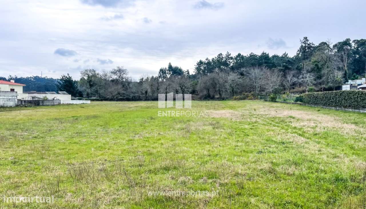 Venda de fantástico terreno para construção, Chafé, Viana do Caste - Grande imagem: 4/30