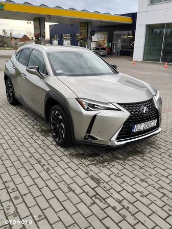 Lexus UX 200 GPF Business Edition 2WD - 19