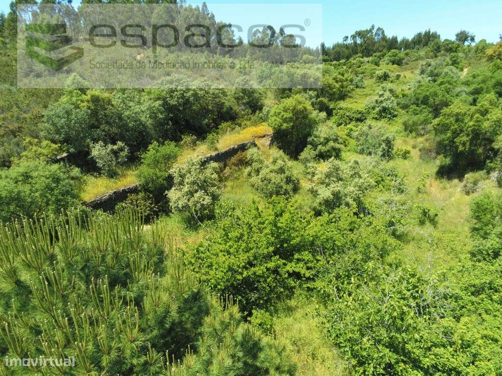 Quinta das Brejas - Fratel - Grande imagem: 5/11