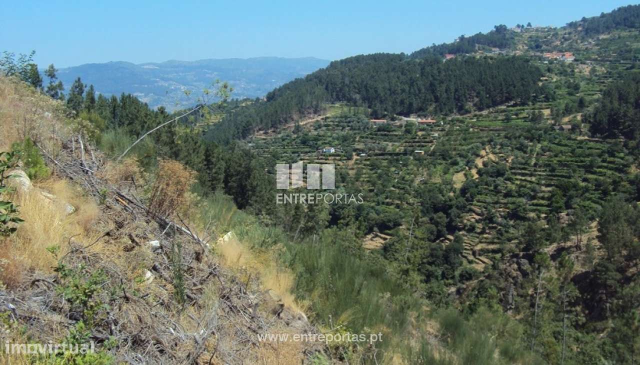 Venda Terreno, Oliveira do Douro, Cinfães - Grande imagem: 5/11