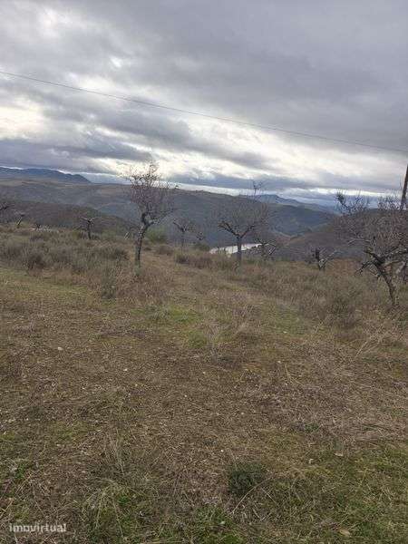 Terreno rústico em sequeiros - Grande imagem: 4/8