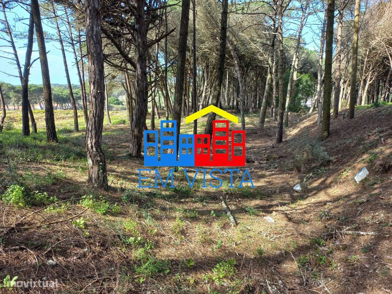 Terreno em Janas - Grande imagem: 5/16