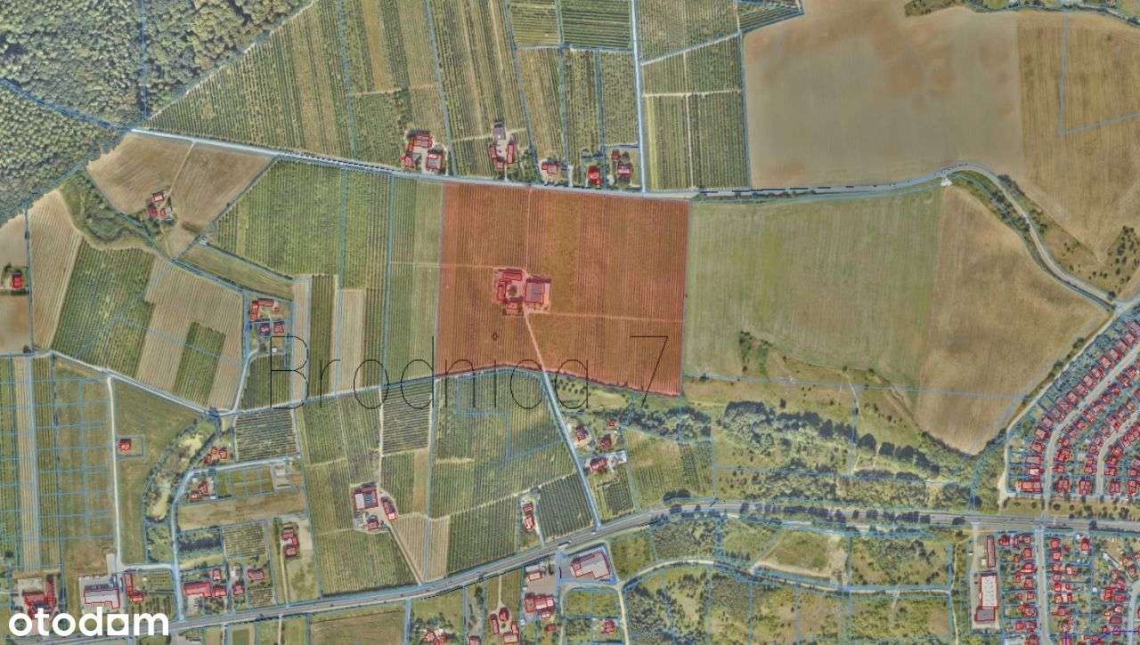 Duży teren z Mpzp pod zabudowę wielorodzinną! - Pełny obrazek: 5/5