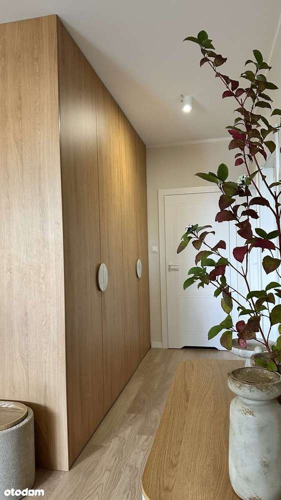 4 - pok mieszkanie w Osielsku- zakup bez prowizji - Pełny obrazek: 5/19