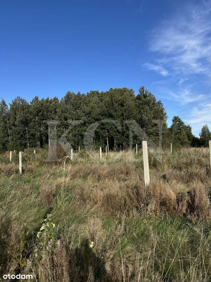 Działka "na odludziu" w miejscowości Dłużec-6